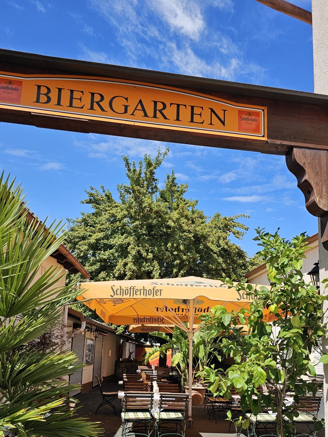 Eingang zum Biergarten mit Schild „Biergarten“, Palmen und Kübelpflanzen